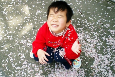 桜の花ふぶきを浴びて春を感じる盲ろう児